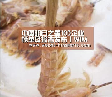 中国明日之星100企业榜单及报告发布丨WIM2019世界创新者年会_华体会,hth,华体会入口(图2) 华体会,hth,华体会入口