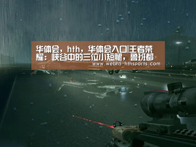 华体会，hth，华体会入口