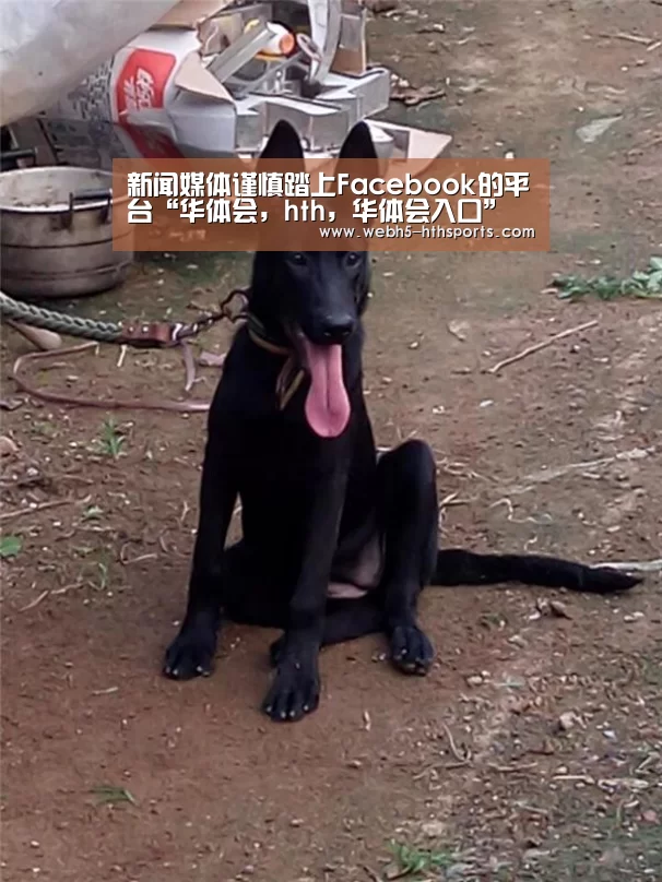 华体会，hth，华体会入口
