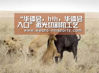 华体会，hth，华体会入口
