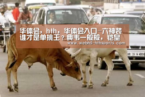 华体会，hth，华体会入口