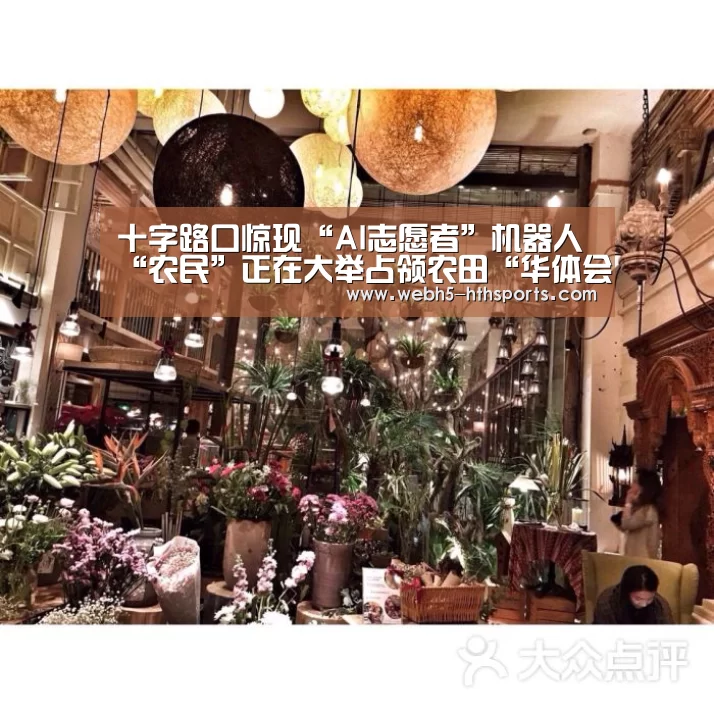 华体会，hth，华体会入口
