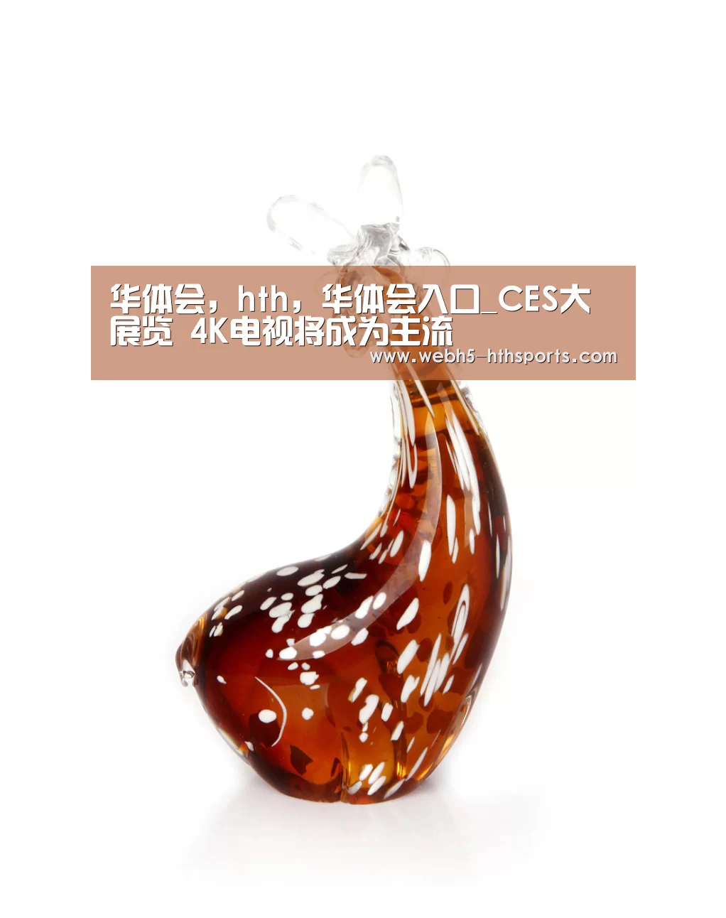 华体会，hth，华体会入口