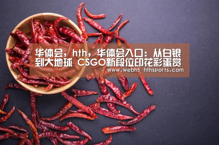 华体会，hth，华体会入口
