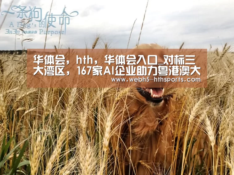 华体会，hth，华体会入口