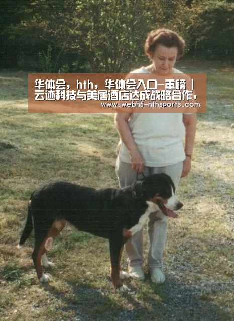 华体会，hth，华体会入口