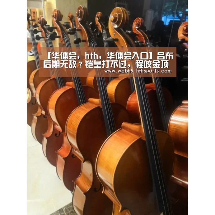 华体会，hth，华体会入口