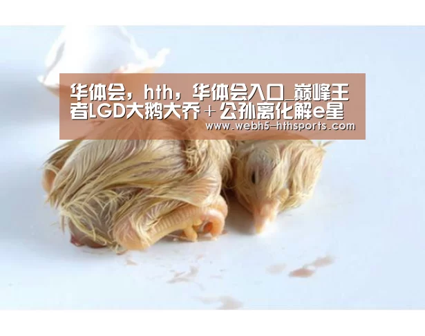 华体会，hth，华体会入口