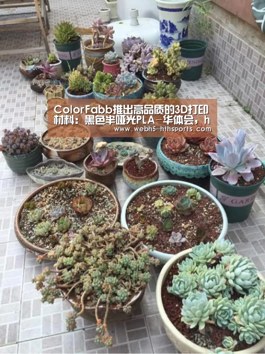 华体会，hth，华体会入口