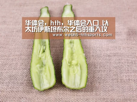 华体会，hth，华体会入口