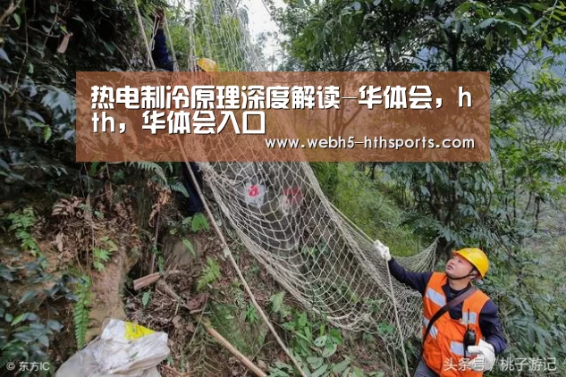 华体会，hth，华体会入口